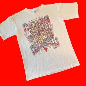 Chicago Bulls Champions‎ 1991 NBA TShirt Vintage 90s Salem Sportswear Mens L